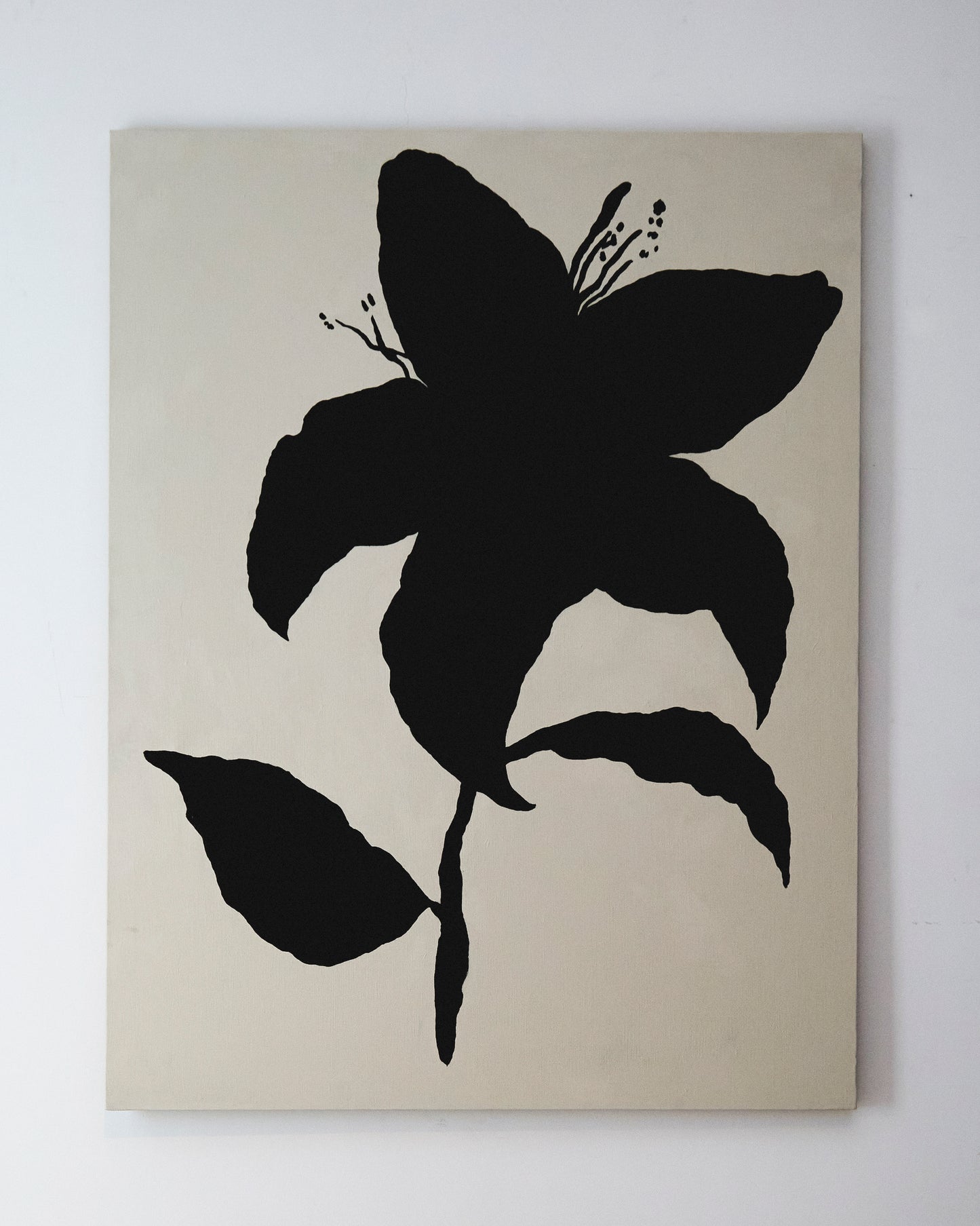 Lilium Negro