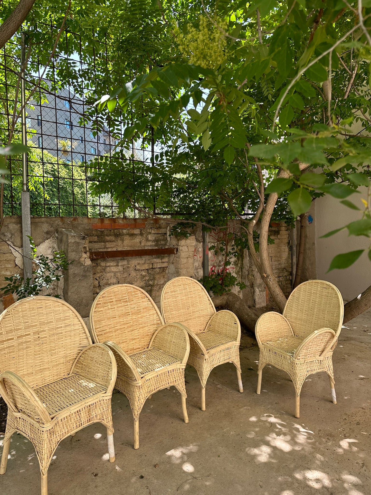 Silla de mimbre El Paso