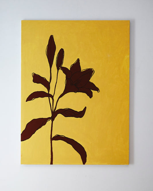 Lilium