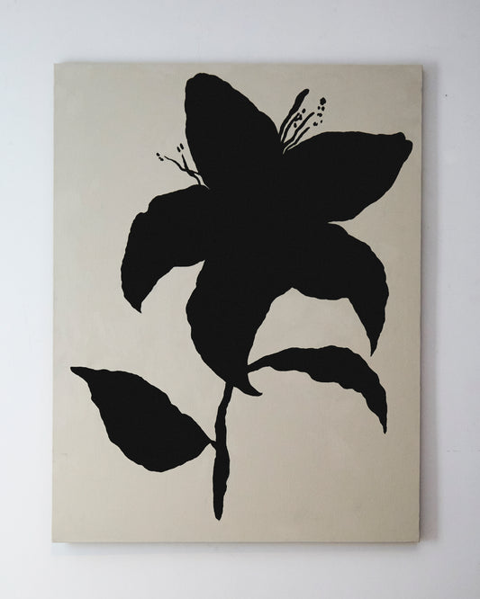 Lilium Negro